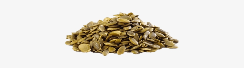 Png Images Stickpng Pumpkin Without Shell - Pumpkin Seed Pn G, transparent png