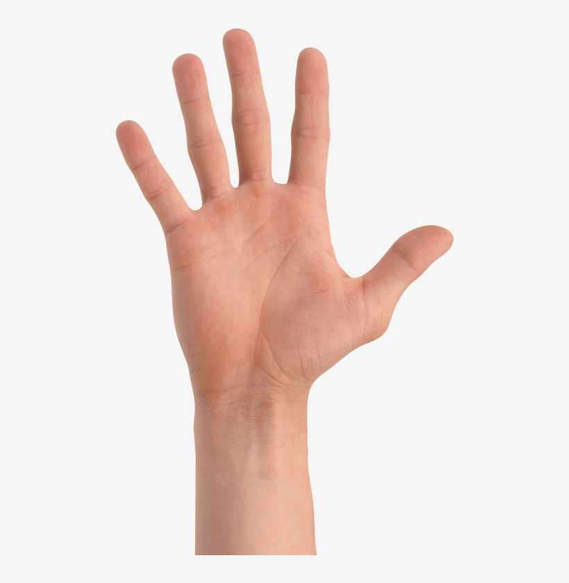 The White Box Approach - Cartazes Museu Da Casa Brasileira, transparent png