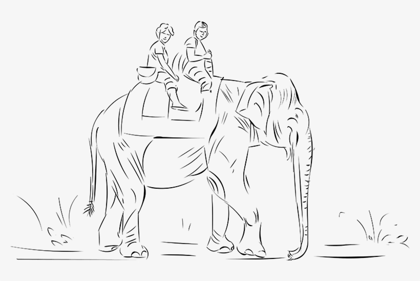 This Is Kept As A Protected But Visitor Friendly Area - Wildlife Sanctuary Drawing, transparent png