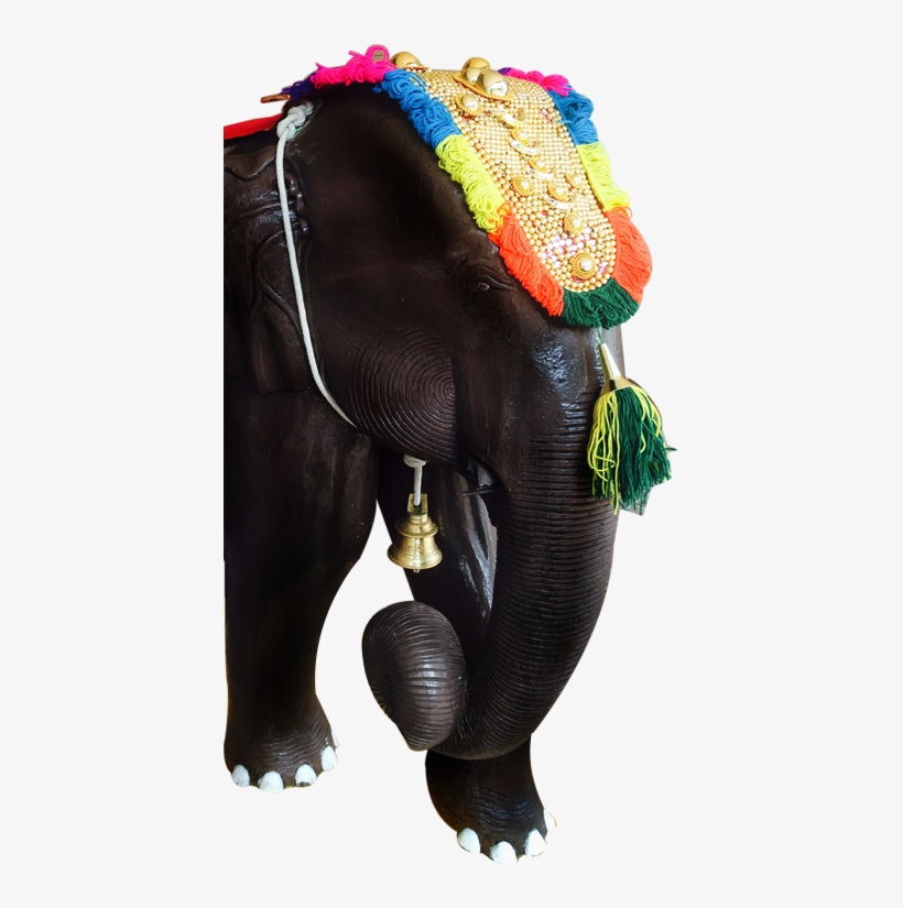 2017 Omar Shariff - Indian Cuisine, transparent png