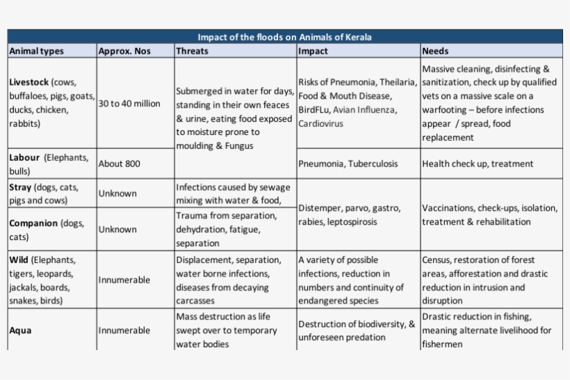 Solid-state Drive, transparent png