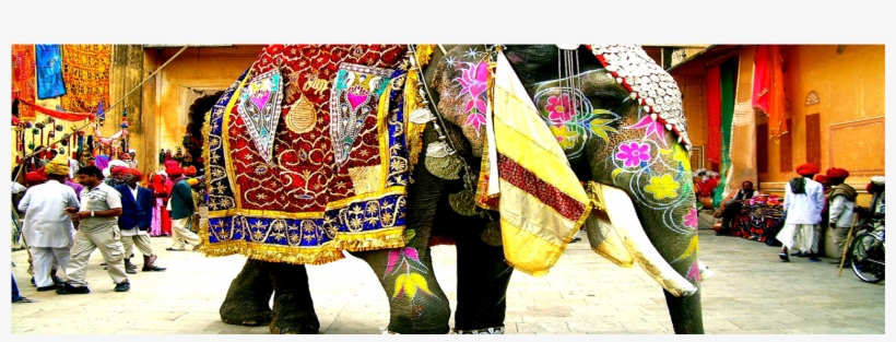 Rajasthan - Indian Things To Do, transparent png