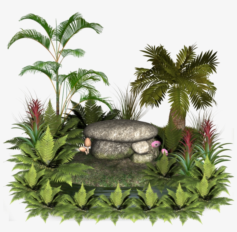 Plants And Rocks - Rocks And Plants Png, transparent png