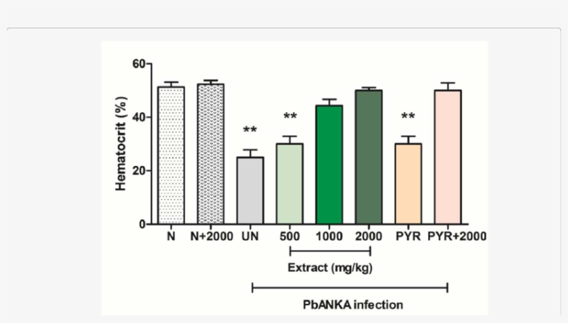 Anti-hemolytic Activity Of Siamese Neem Tree Extract - Plasmodium Berghei, transparent png
