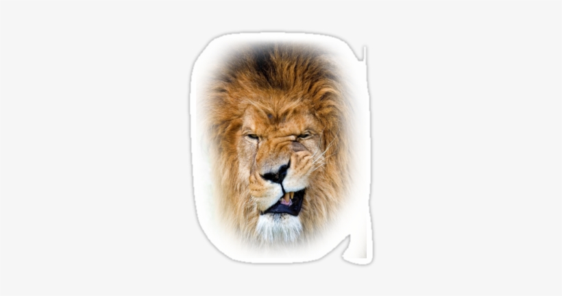 Angry Lion Png - Обои На Телефон Лев, transparent png