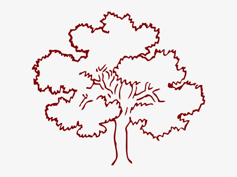 Clip Art Tree Outline - Clip Art Trees Black And White, transparent png