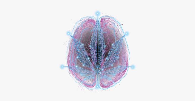 Montag - Freitag 10 - 00 - 19 - 00 - Samstag 10 - 00 - Macro Photography, transparent png