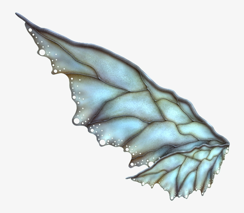 All Photoscape & Photoshop Effects ♥♥♥ - Fantasy Wings, transparent png
