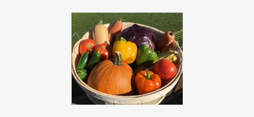 Pumpkin, transparent png