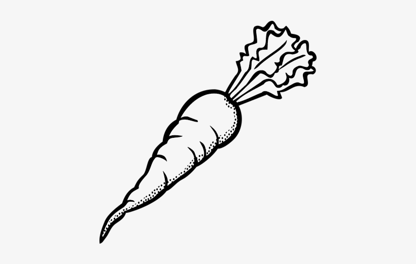 Receive A Weekly Vegetable Basket In Ottawa With Fresh - Carrot Clipart Black And White, transparent png