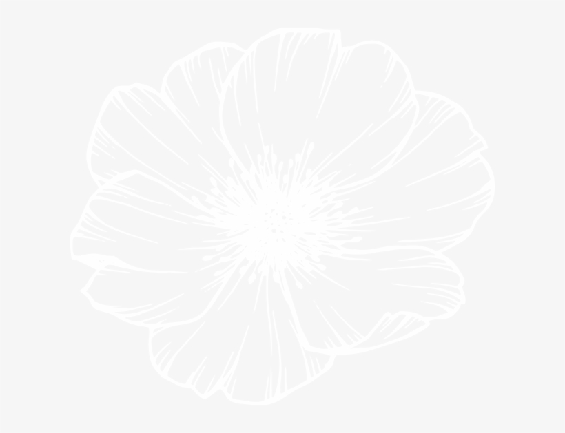 Complejo La Hacienda, transparent png