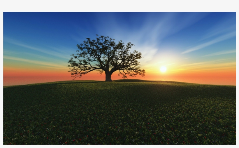 Bloomsbury Market 'young Birthing Tree' Print On Wrapped, transparent png