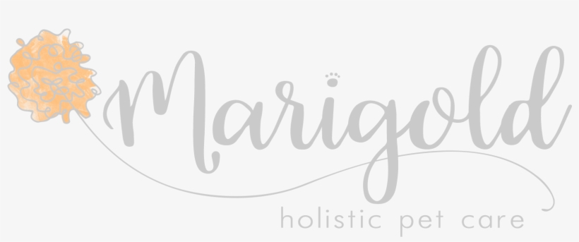 Marigold Gray Logo Png - Calligraphy, transparent png