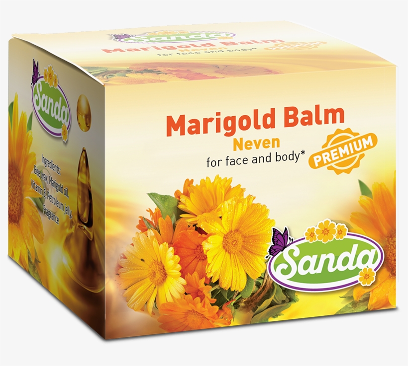 English Marigold, transparent png