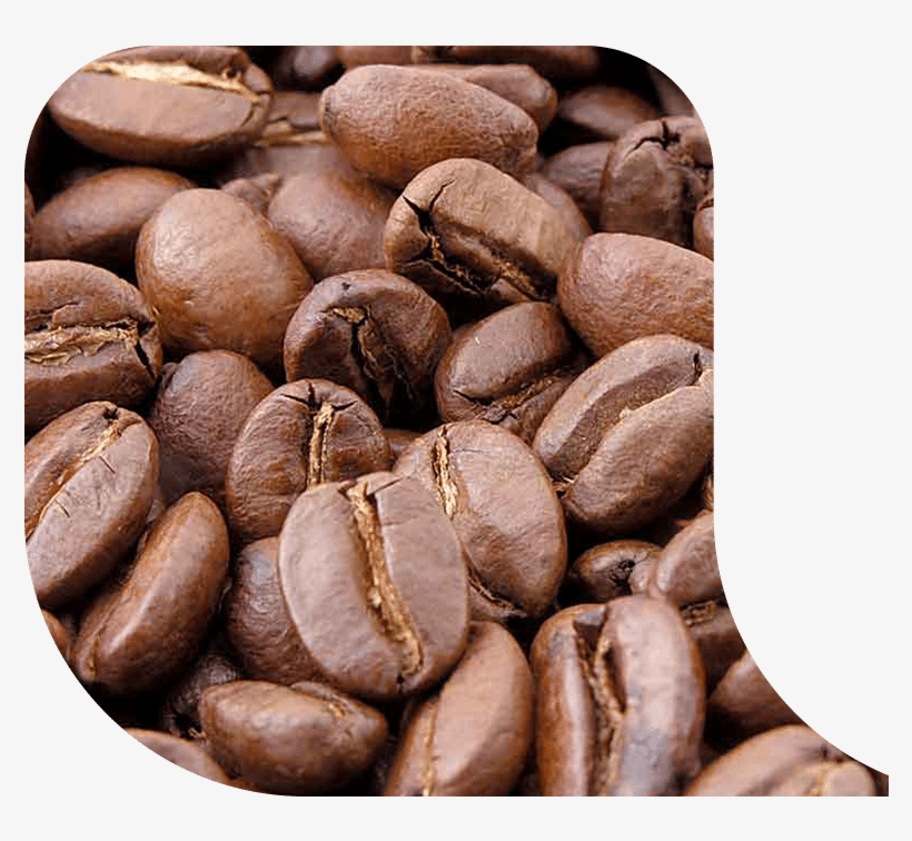 1 Test - Breakfast Blend Fresh Roasted Coffee 1 Grade Arabica, transparent png