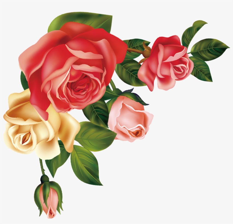 Hand Drawn Cartoon Fashion Rose Flower Decoration Vector - Rose, transparent png