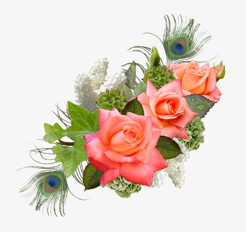 Rose, Rose Flower, Hydrangeas, Lilac, Peacock - Png Format Flowers Hd Png, transparent png