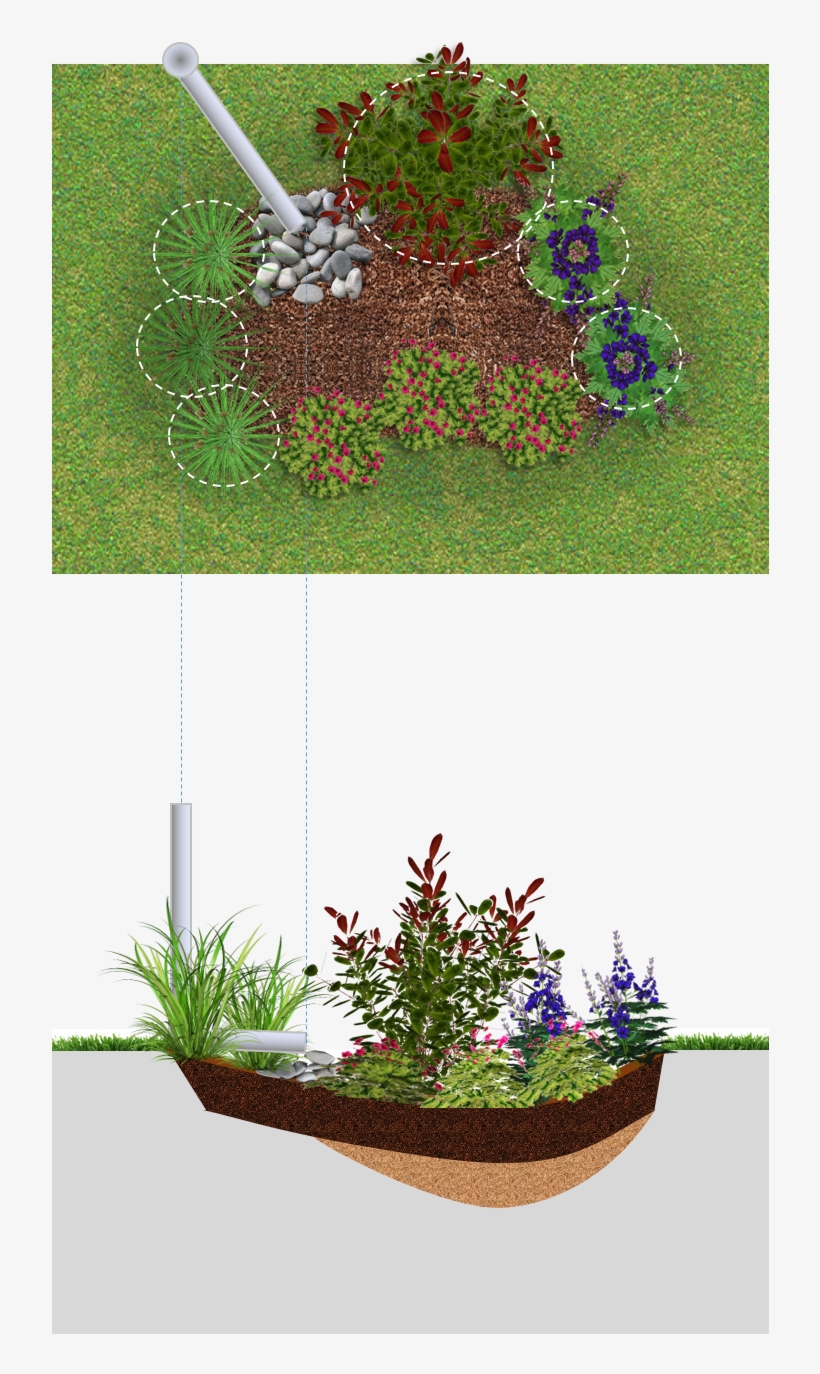 Rain Garden, transparent png