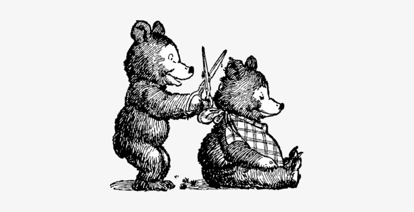 Bear Hairstyle Fashion Crew Cut - Bear With A Haircut, transparent png