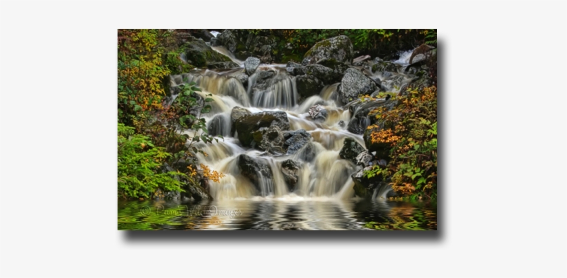 Img 1570 - Jpeg, transparent png
