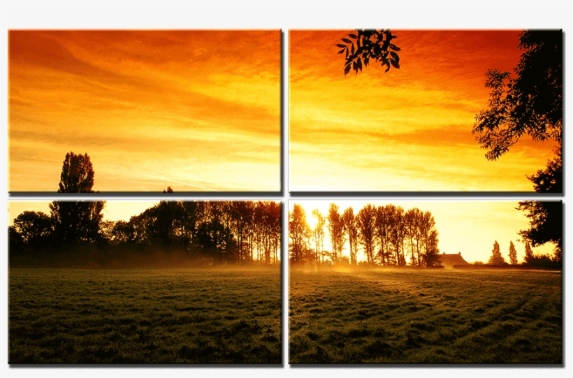 Acoustic Panels Sunrise - Sunset Trees, transparent png