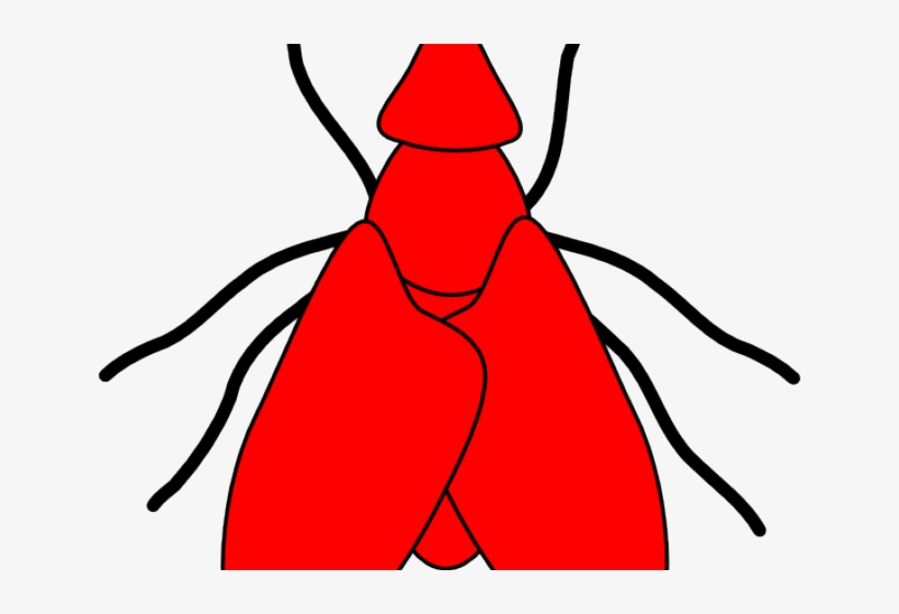 Flying Clipart Red - Drawing, transparent png