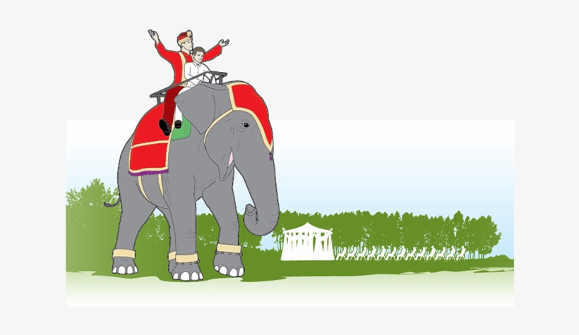 Anatomy How To Book An For Indian - Indian Man On Elephant Wedding, transparent png