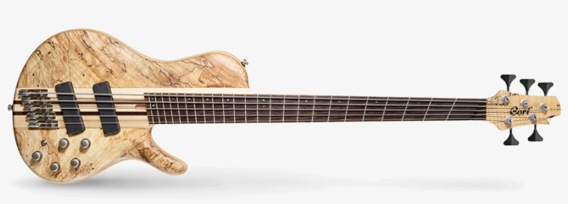 A5 Plus Scms - Cort Action Dlx Plus, transparent png