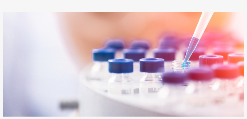 Faculdade Independente Do Nordeste, transparent png