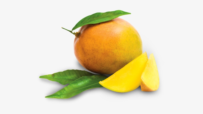 Fundaaz Super Nimbu Pani Fruit Lichi Juice - Mango Fruit Drink Png, transparent png