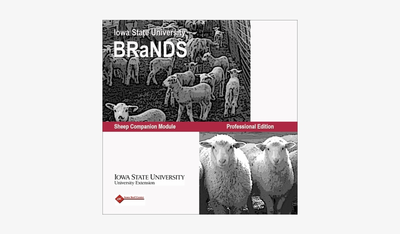Sheep Brands - Sheep, transparent png
