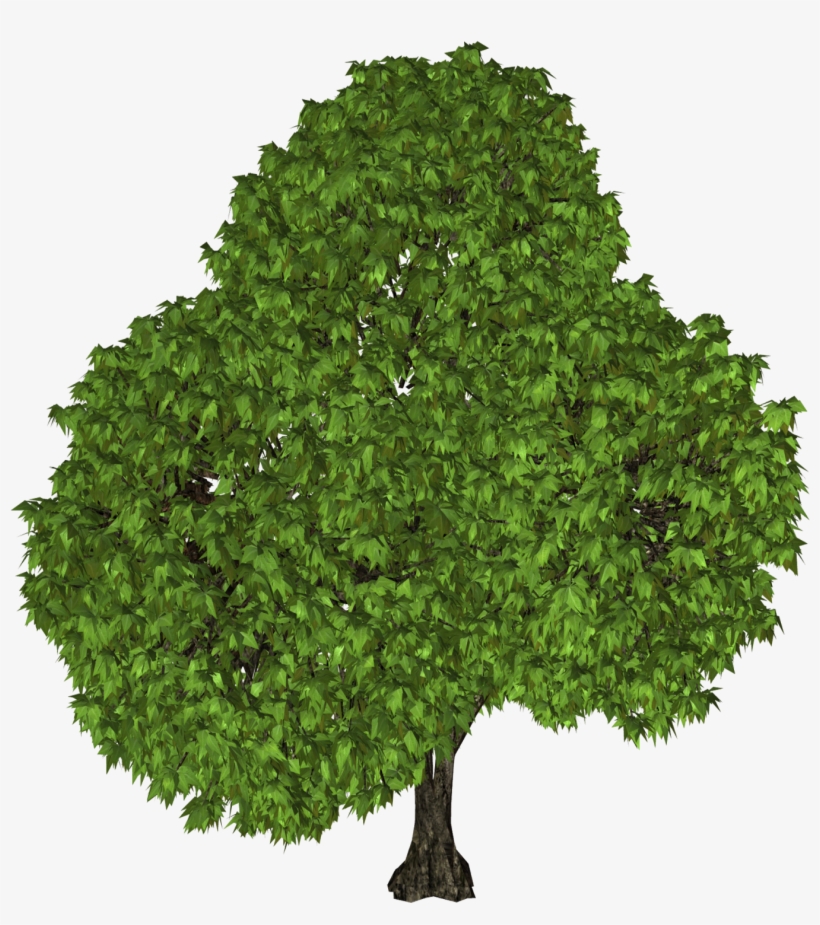 Green Tree Png Clipart - Tree, transparent png
