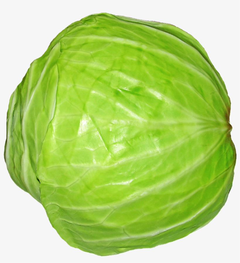 Green Vegetables Png - Cabbage Png, transparent png