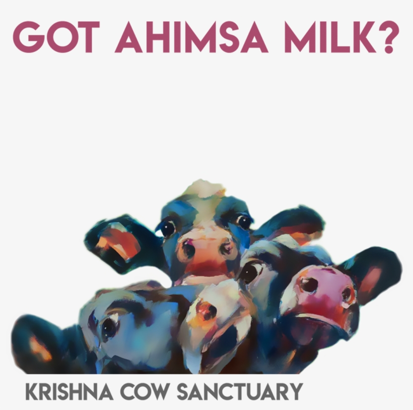 Milk, transparent png