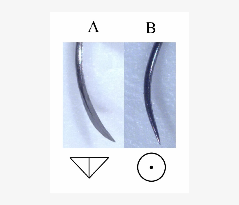 Two Common Types Of Surgical Needle Used To Suture - Surgical Suture, transparent png