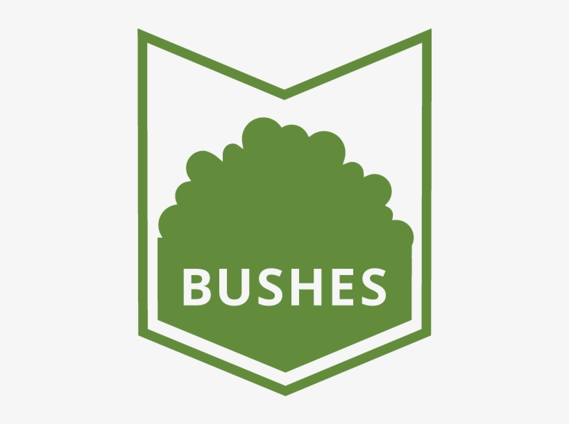 For Your Beautiful Bushes And Shrubbery, You Always - Lawn, transparent png