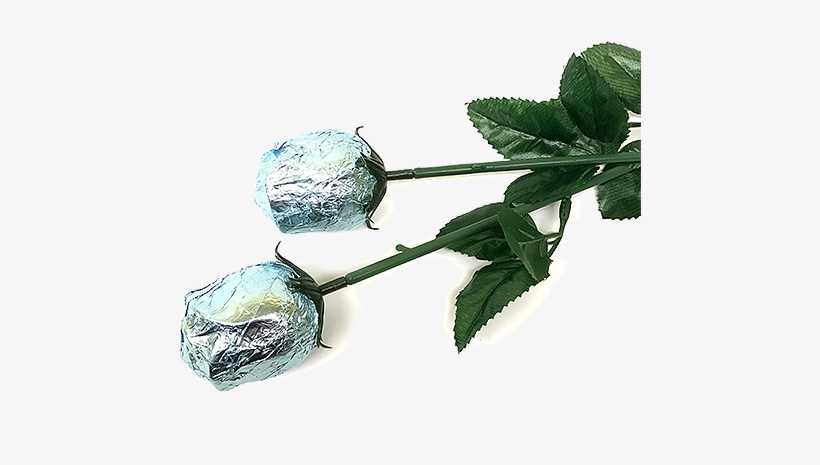 Baby Blue Foiled Belgian Chocolate Color Splash Roses - Flower, transparent png