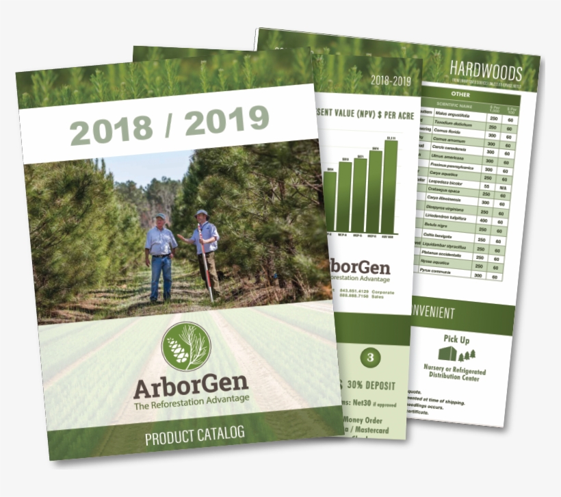 2017 Catalog Cover Thumb Small - Thumb, transparent png