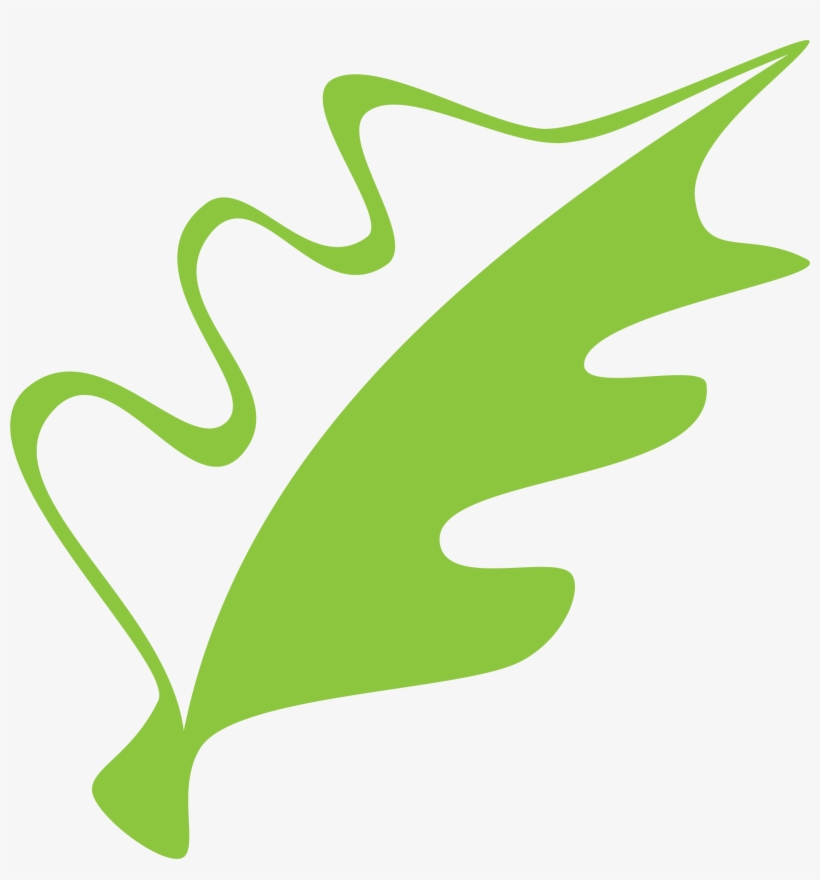 The International - International Cc Bolton, transparent png