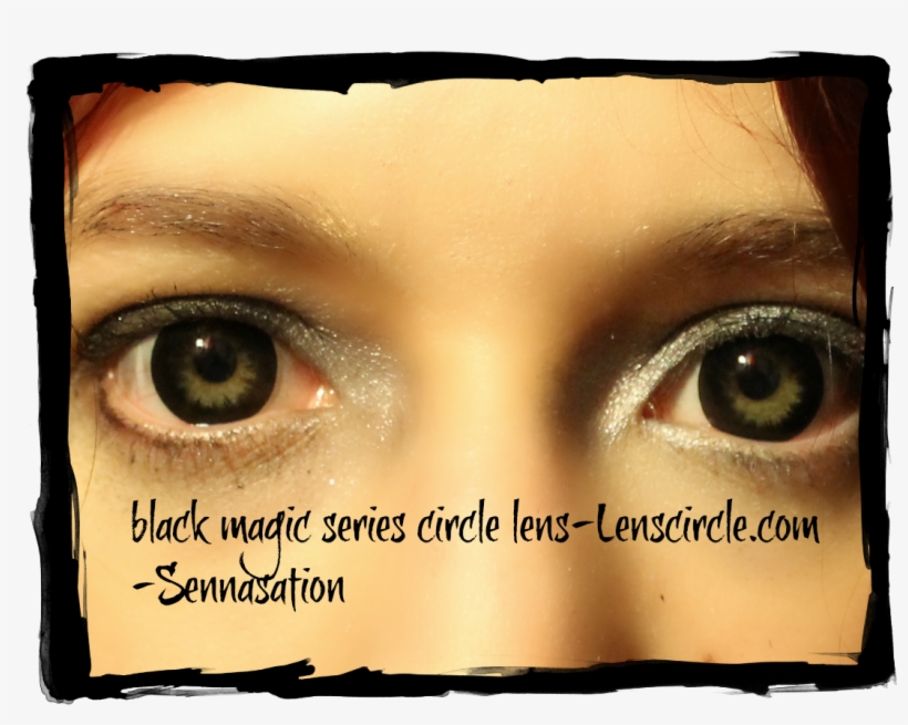 Lenscircle - Comreview - Cat, transparent png