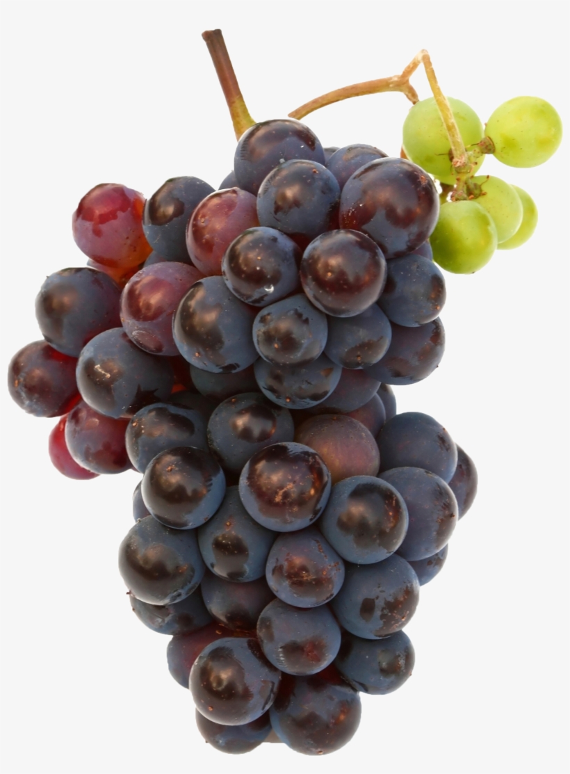 Black Grapes Png Free Commercial Use Image - Fruits Grape, transparent png