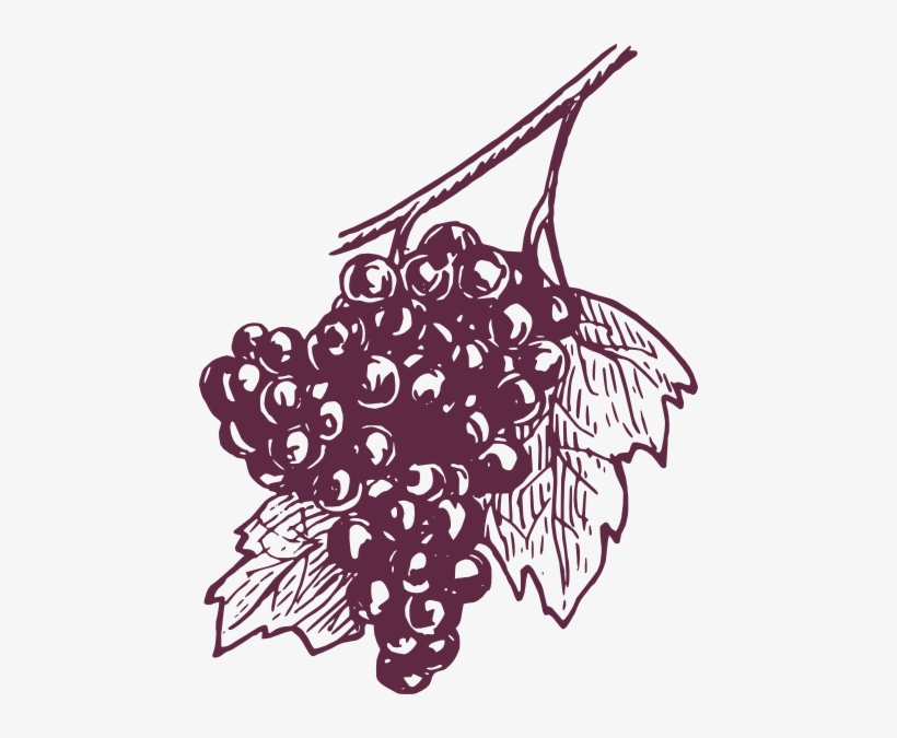Dark Grapes Clip Art At Clker - Grape, transparent png
