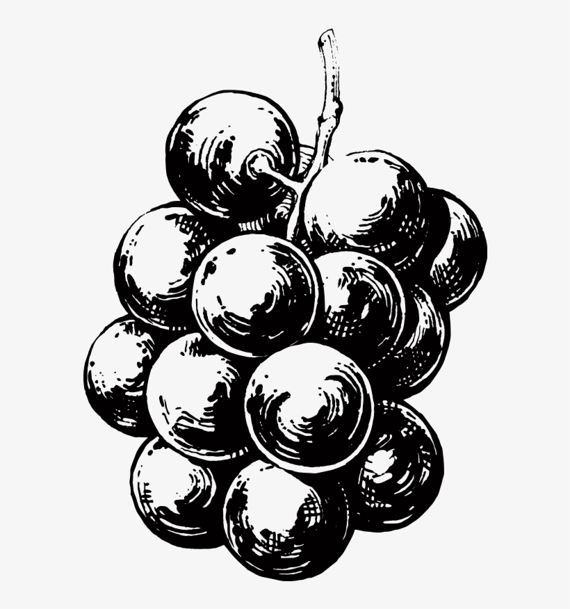 Grape Seed Extract - Grape, transparent png