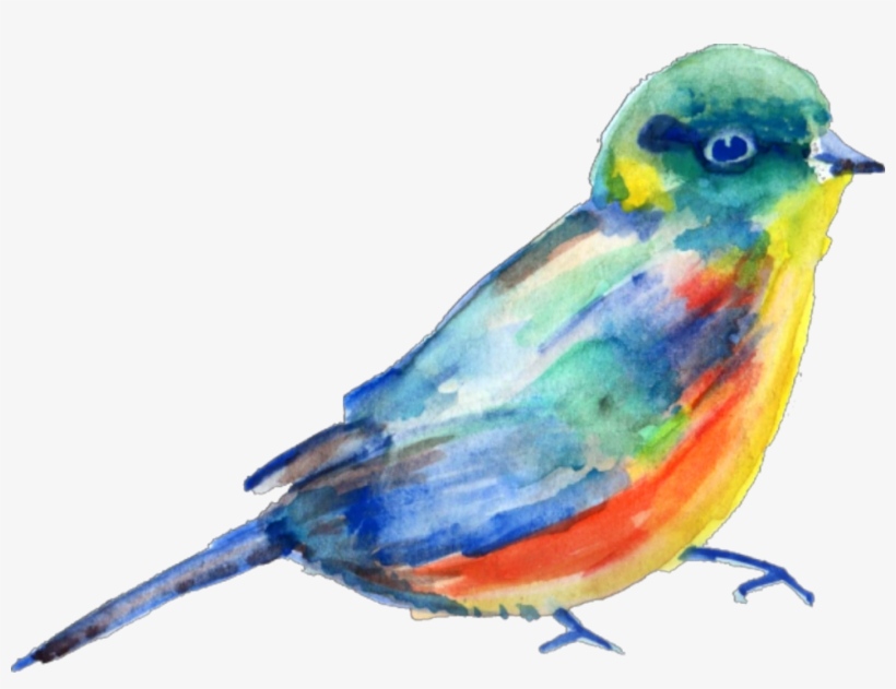 Report Abuse - Bird Painting Png, transparent png