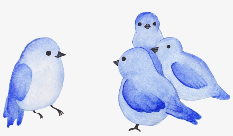 Blue Birds - Mountain Bluebird, transparent png