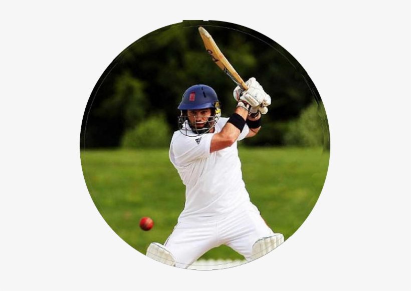 Cricket, transparent png