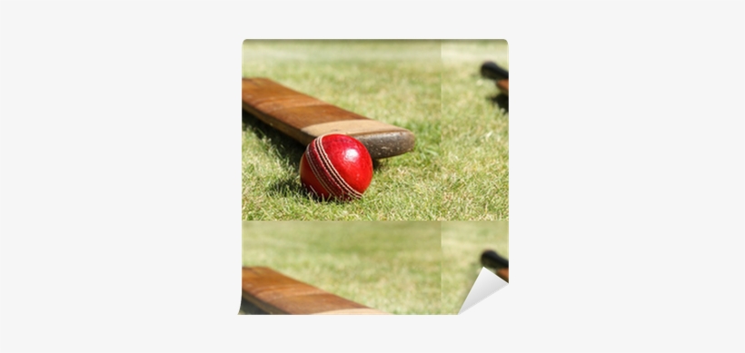 Cricket Bat And Ball, transparent png