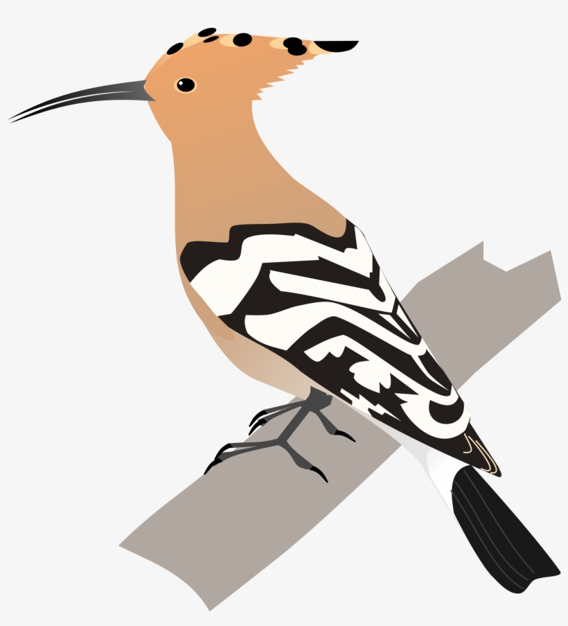 Svg - Hoopoe Bird Animated, transparent png
