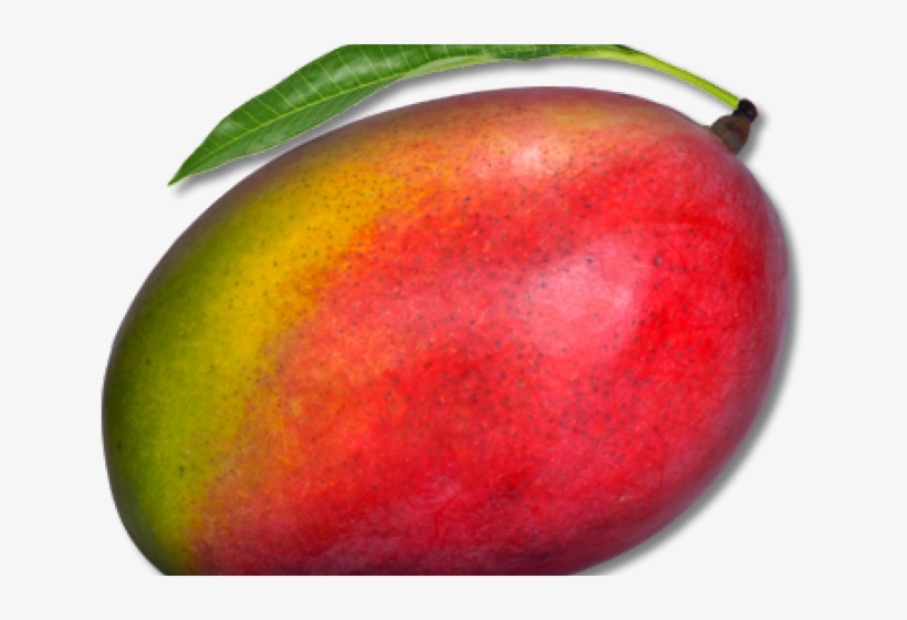 Mango Png Transparent Images, transparent png