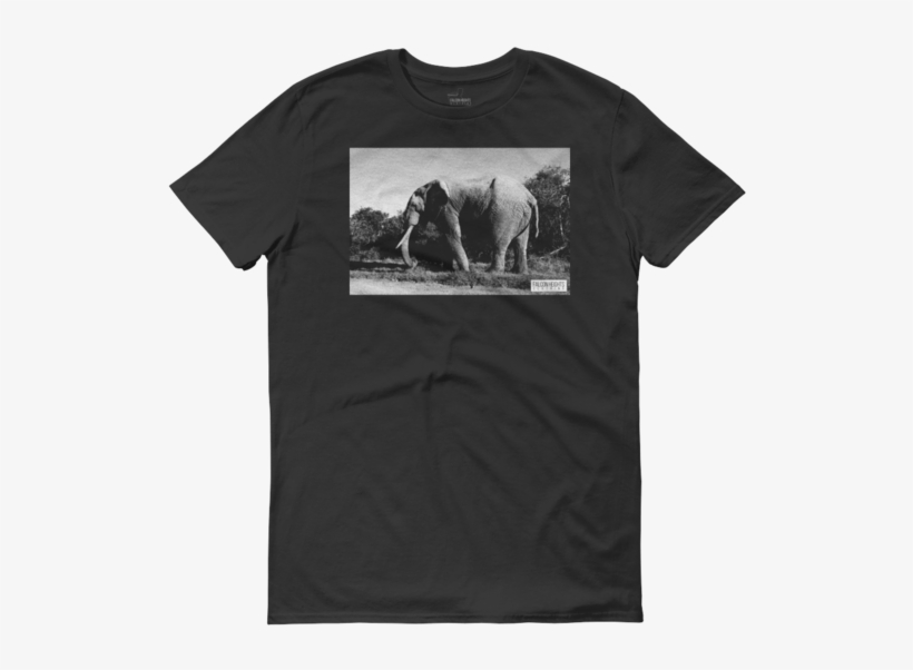 Profit Shirt, transparent png